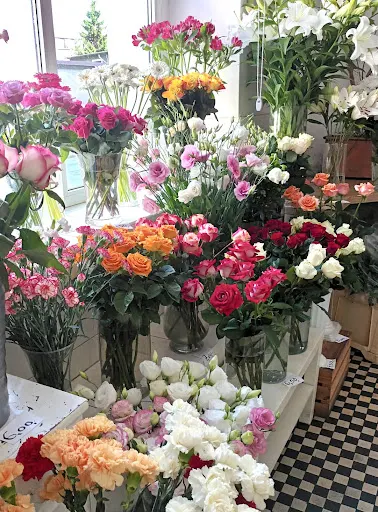 Kwiaciarnia “Szarotka” Alicja Powęzka